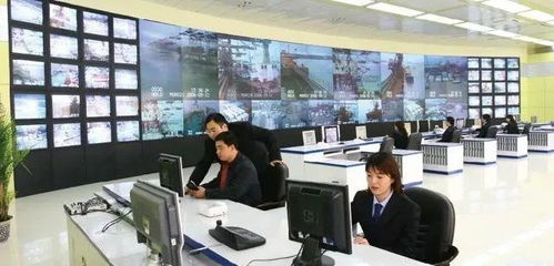 專業群巡禮 青島港灣職業學院信息技術專業群，信息技術咨詢服務探析